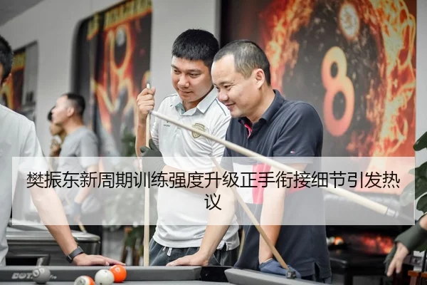 樊振东新周期训练强度升级正手衔接细节引发热议