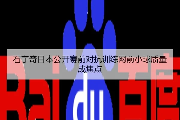 石宇奇日本公开赛前对抗训练网前小球质量成焦点